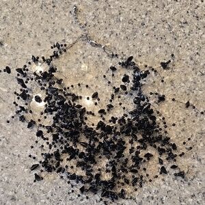 Wildly Unique Black Beaded Statement Choker Necklace